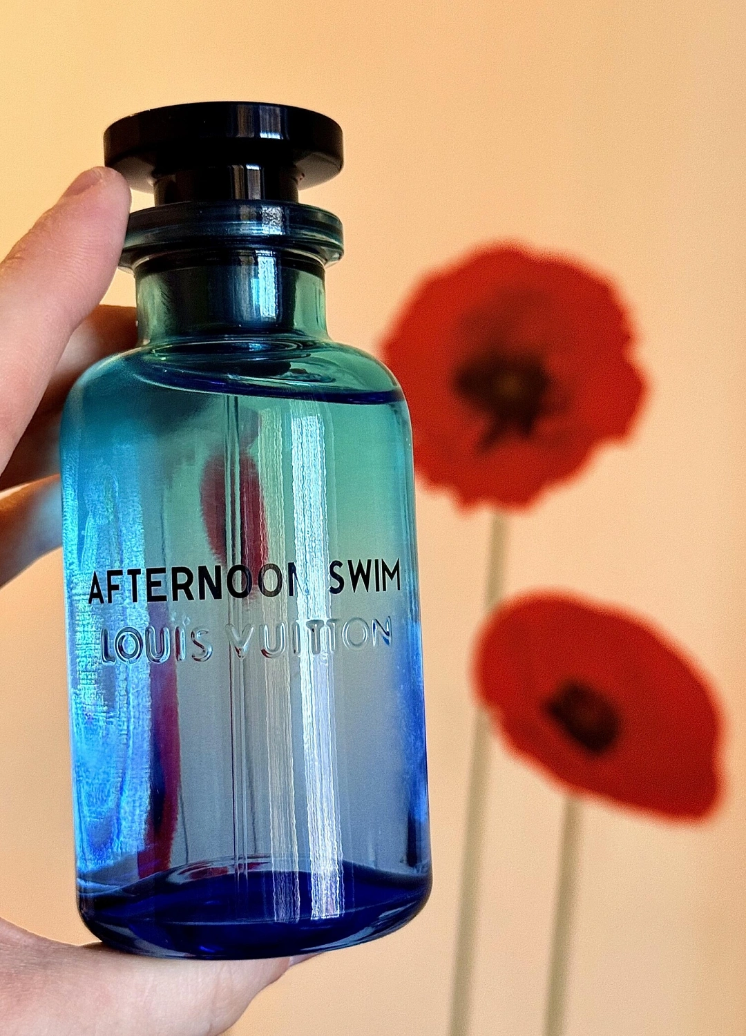 Louis Vuitton Afternoon Swim