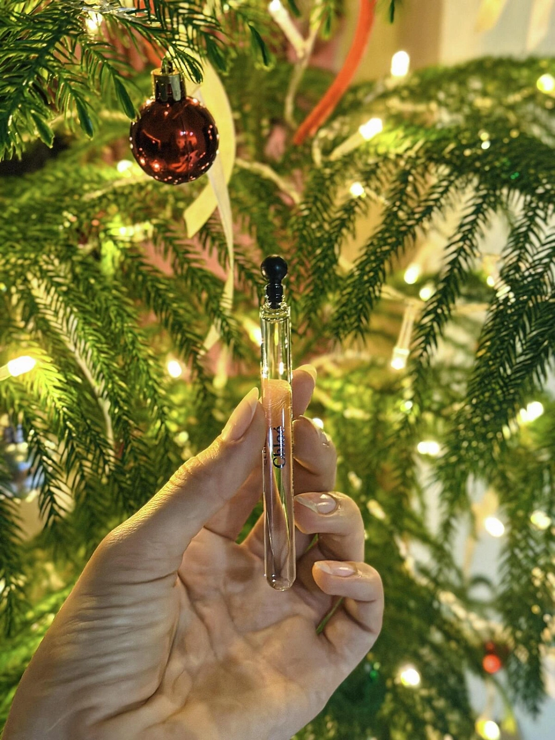 Chloe Atelier Des Fleurs Cedrus