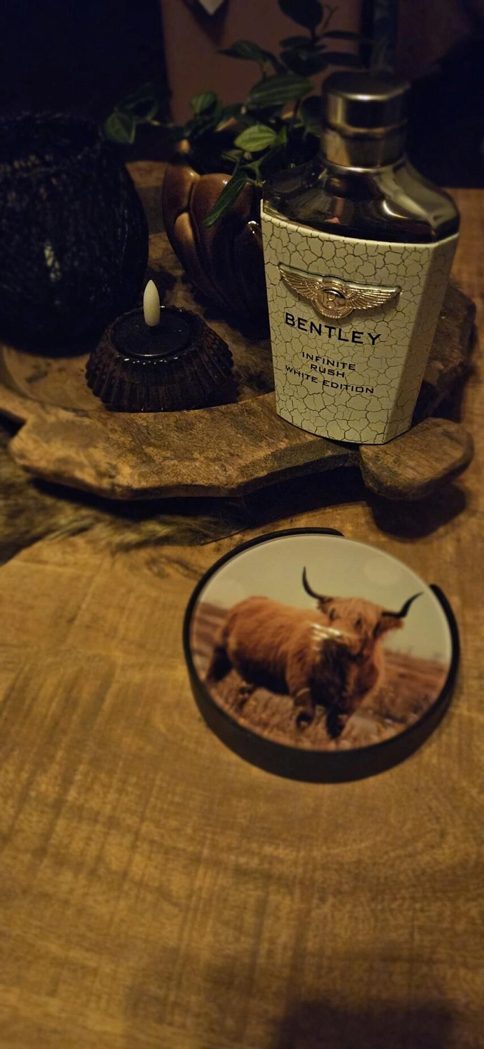 Bentley Infinite Rush White Edition