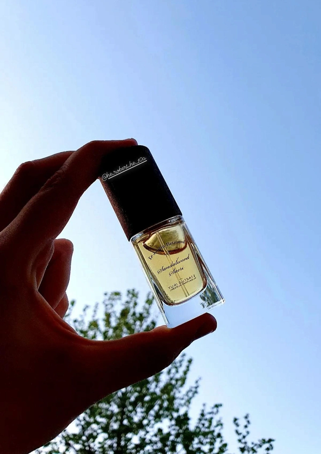 Le Jardin Retrouve Sandalwood Sacre Le Jardin Retrouve Sandalwood Sacre
