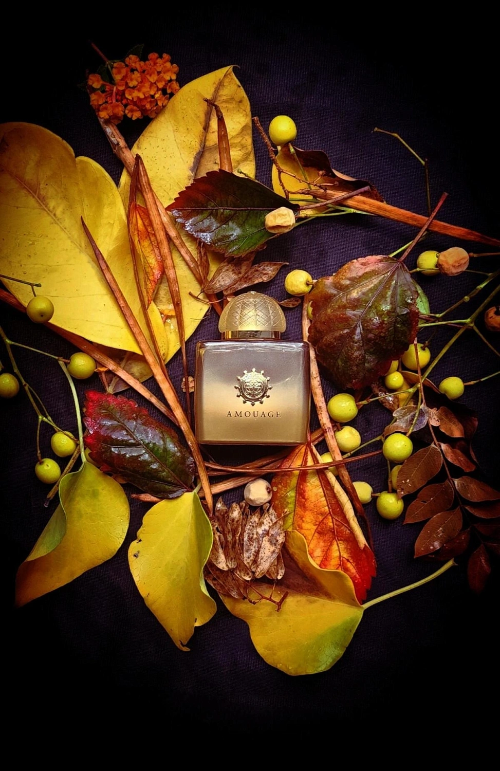 Amouage Ubar for Woman