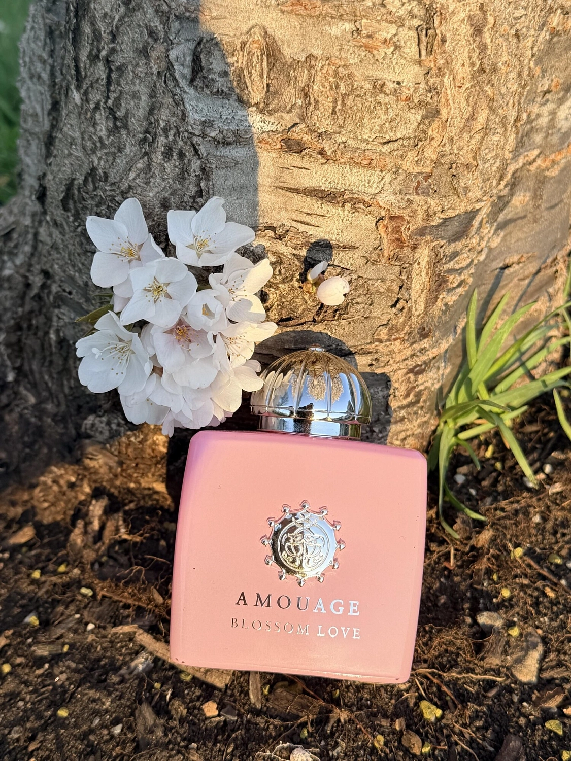 Amouage Blossom Love