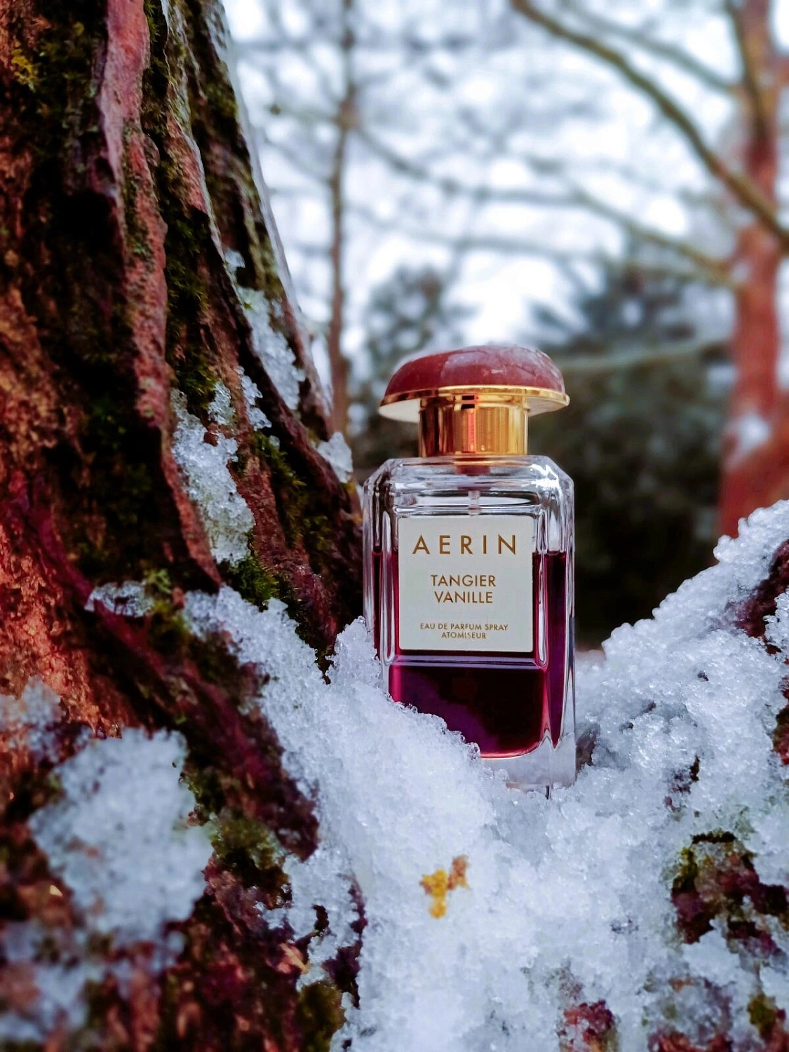 AERIN Tangier Vanille