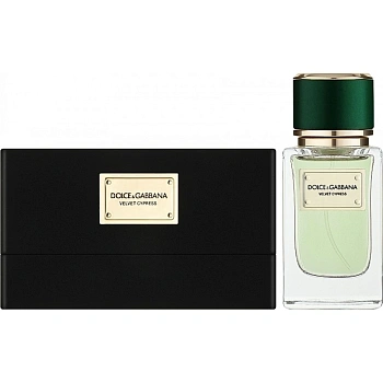 Фото DOLCE & GABBANA Velvet Cypress