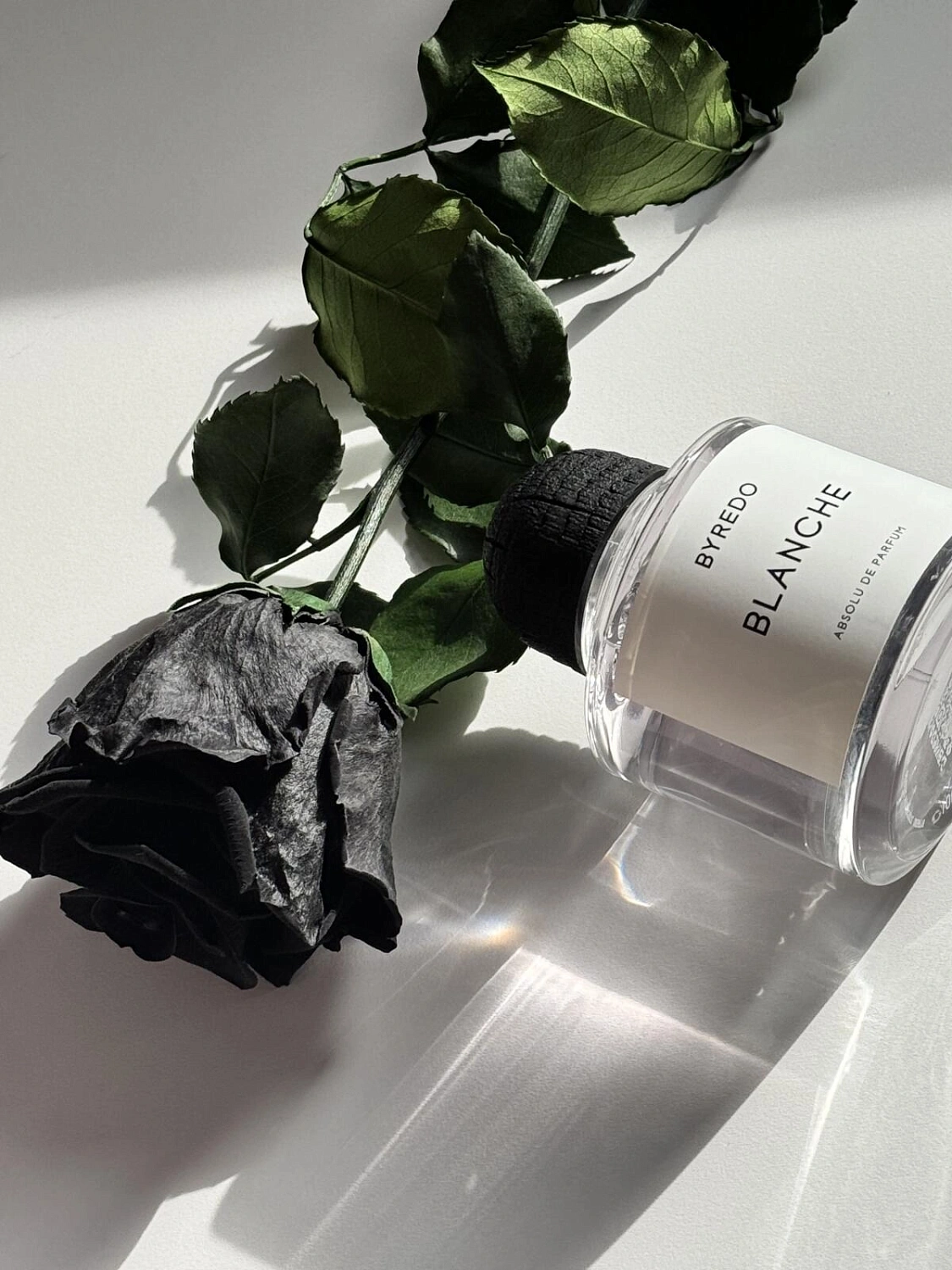 BYREDO Blanche Absolu