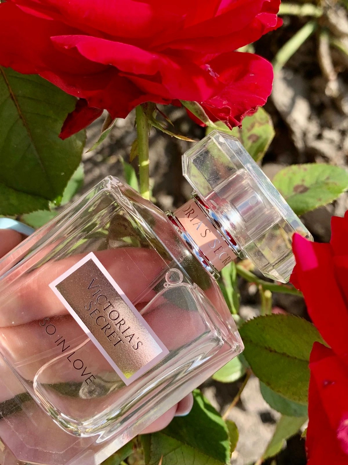 Victoria`s Secret So In Love