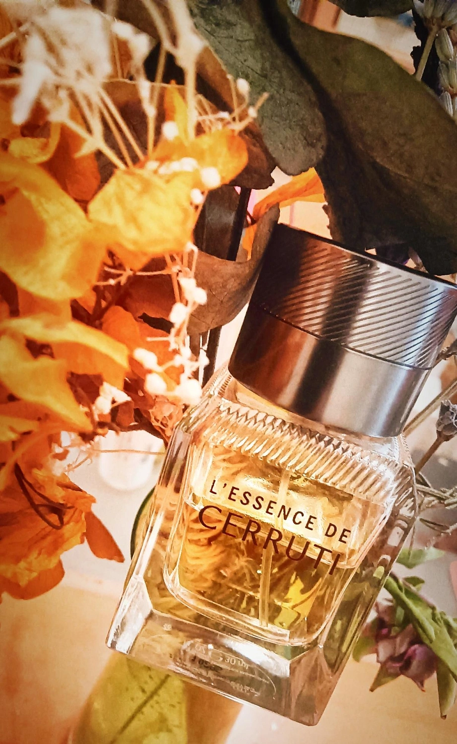 Cerruti 1881 L’Essence De Cerruti