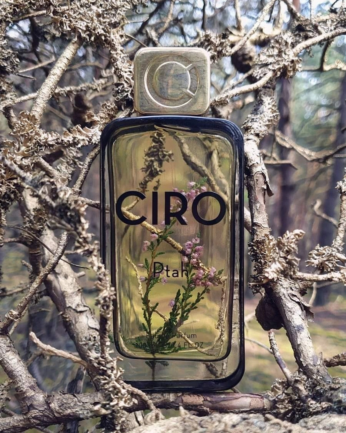 Parfums Ciro Ptah