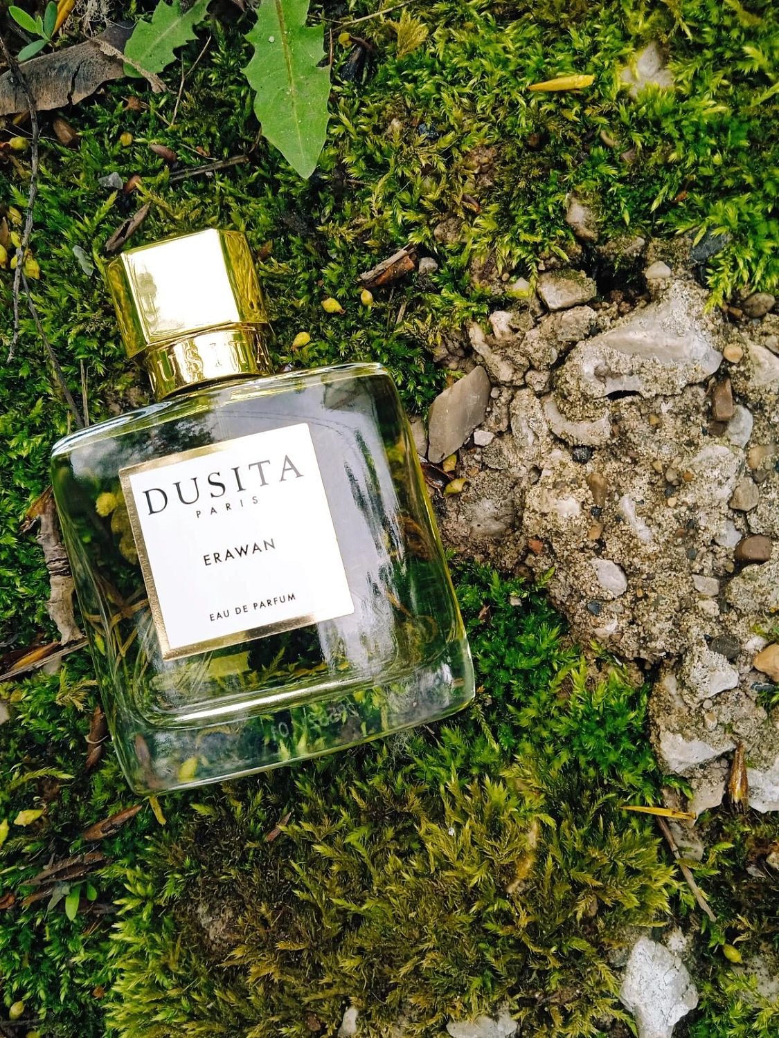 Dusita Erawan Dusita Erawan