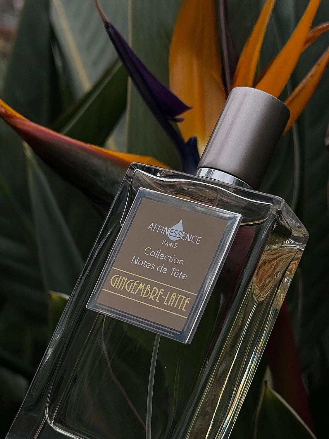 Affinessence Gingembre Latte