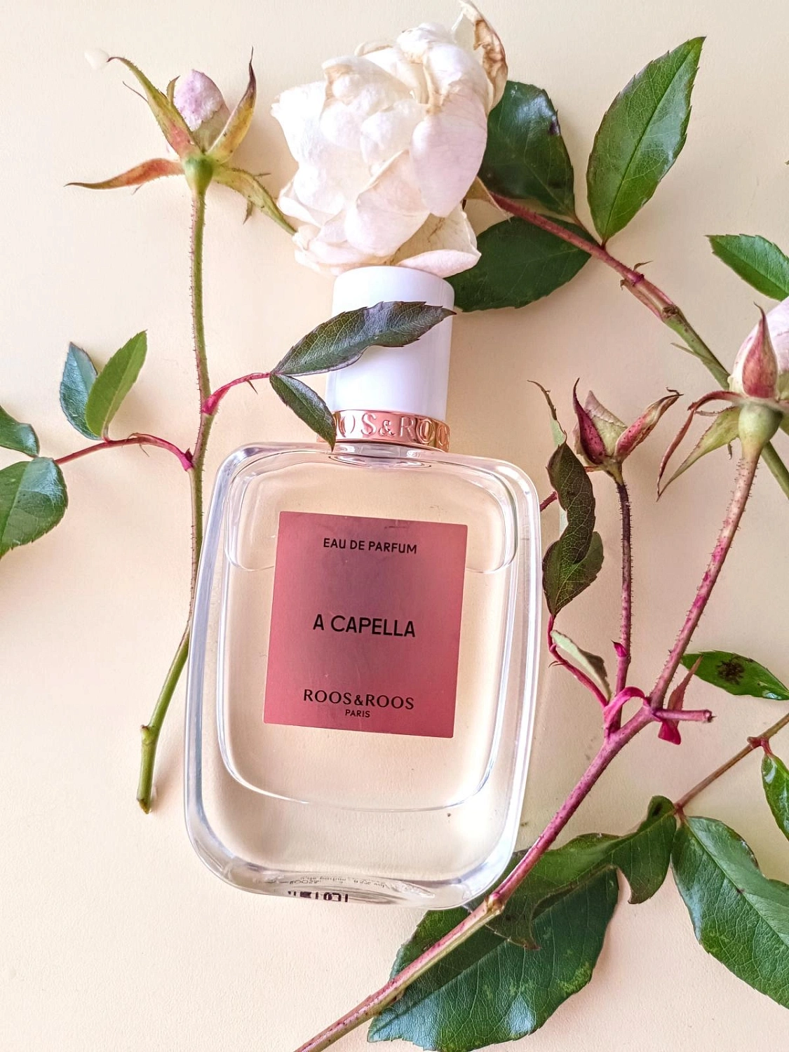 Roos & Roos A Capella