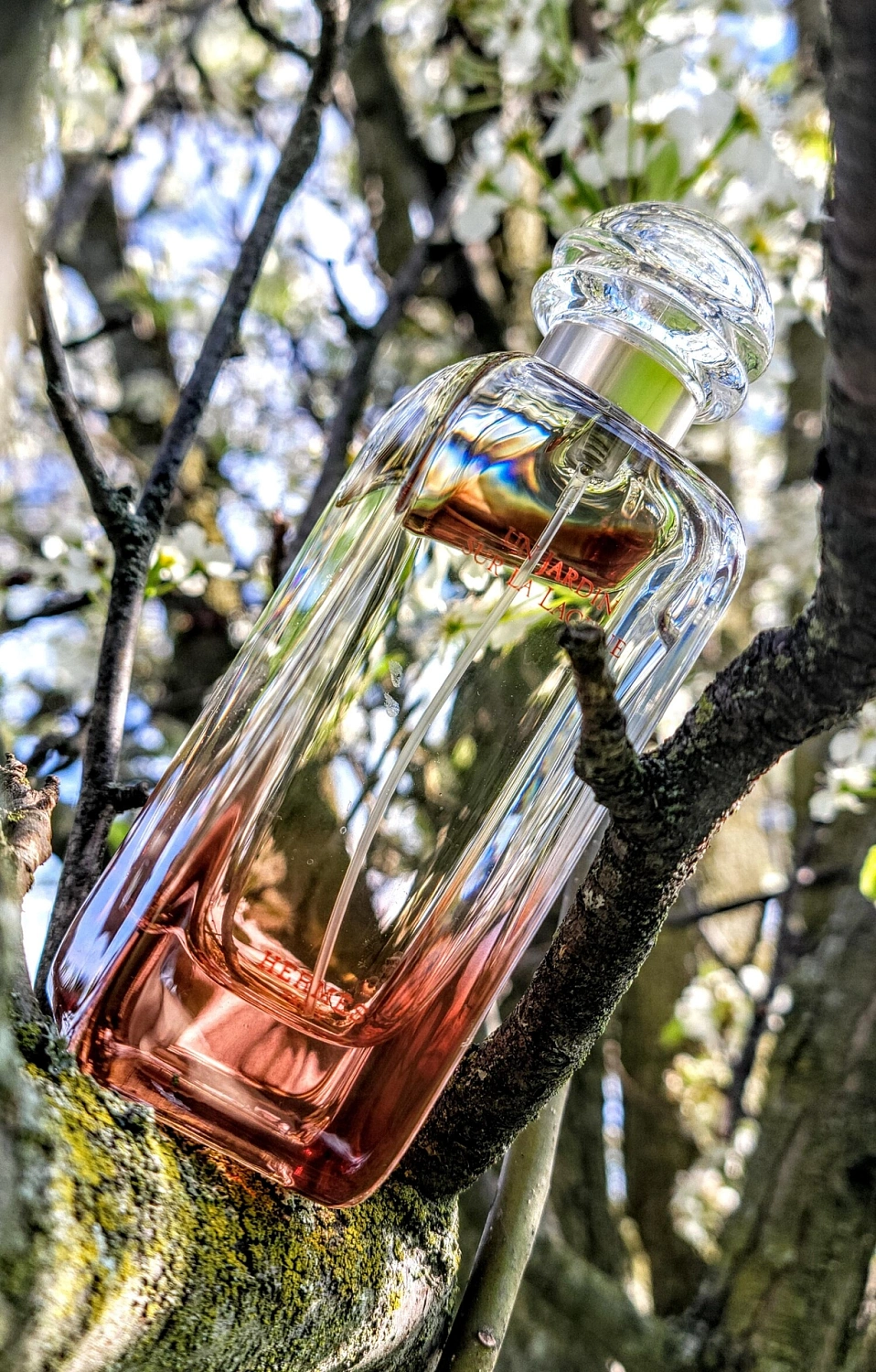 Hermès Un Jardin Sur La Lagune