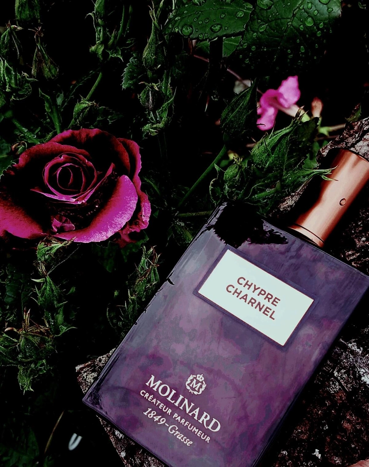 Molinard Chypre Charnel