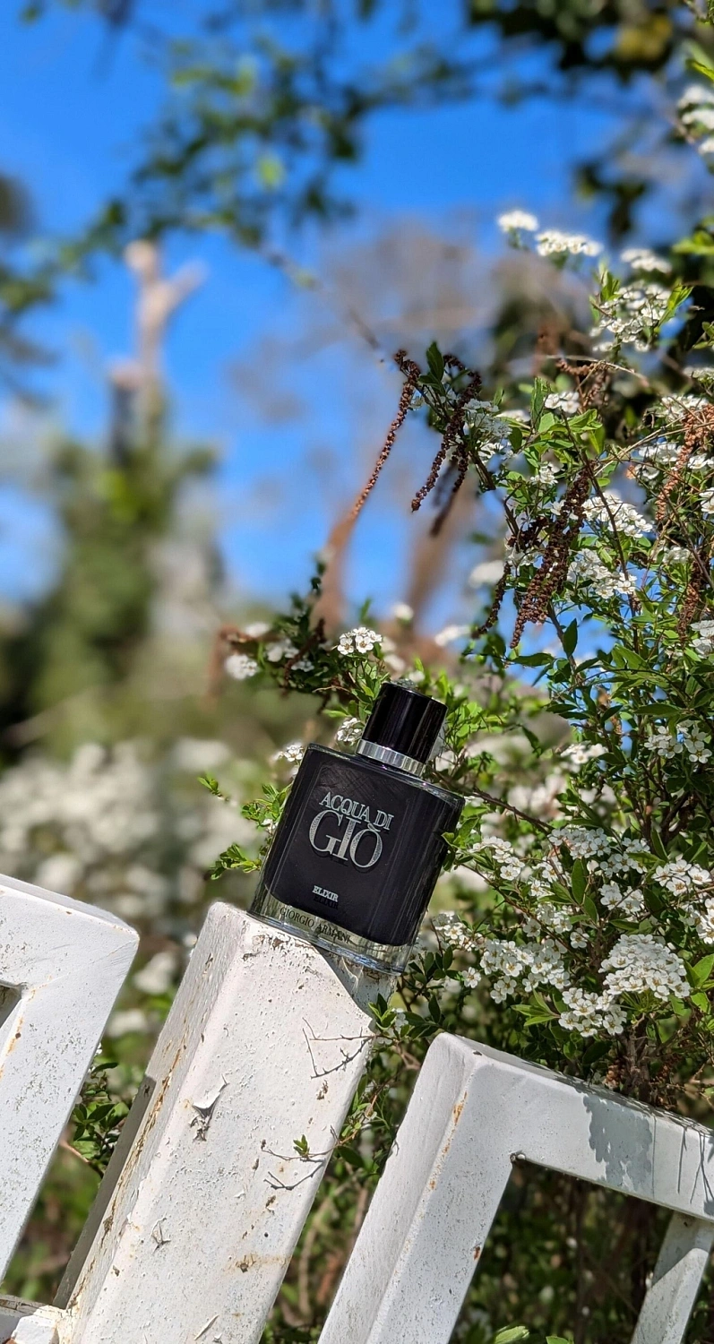 Armani Acqua Di Gio Elixir