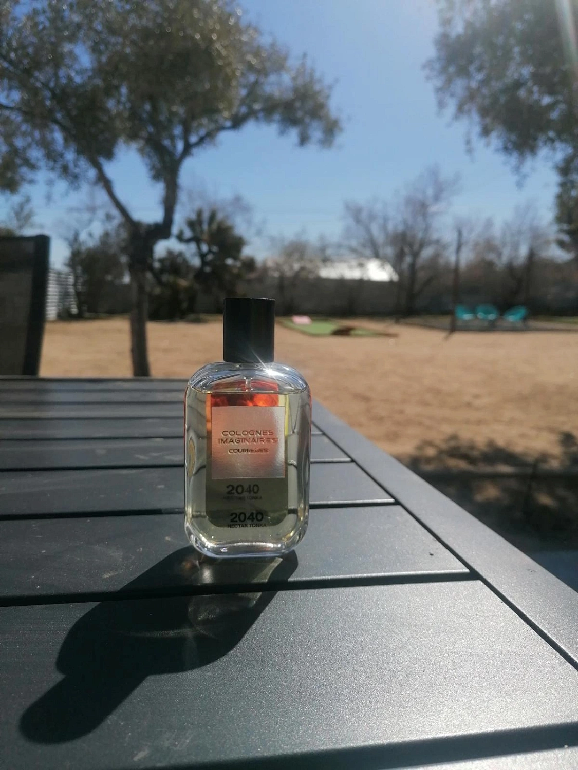Courreges 2040 Nectar Tonka Courreges 2040 Nectar Tonka