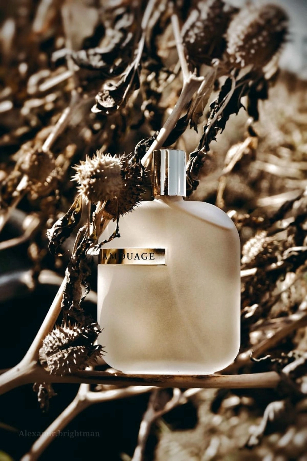 Amouage The Library Collection Opus V
