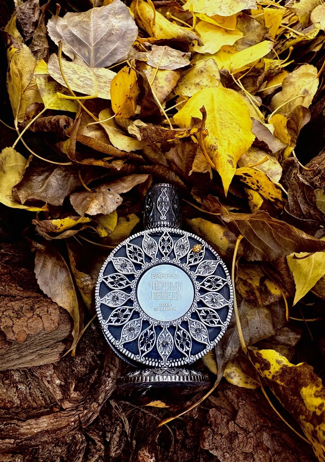 Brocard Черный лебедь