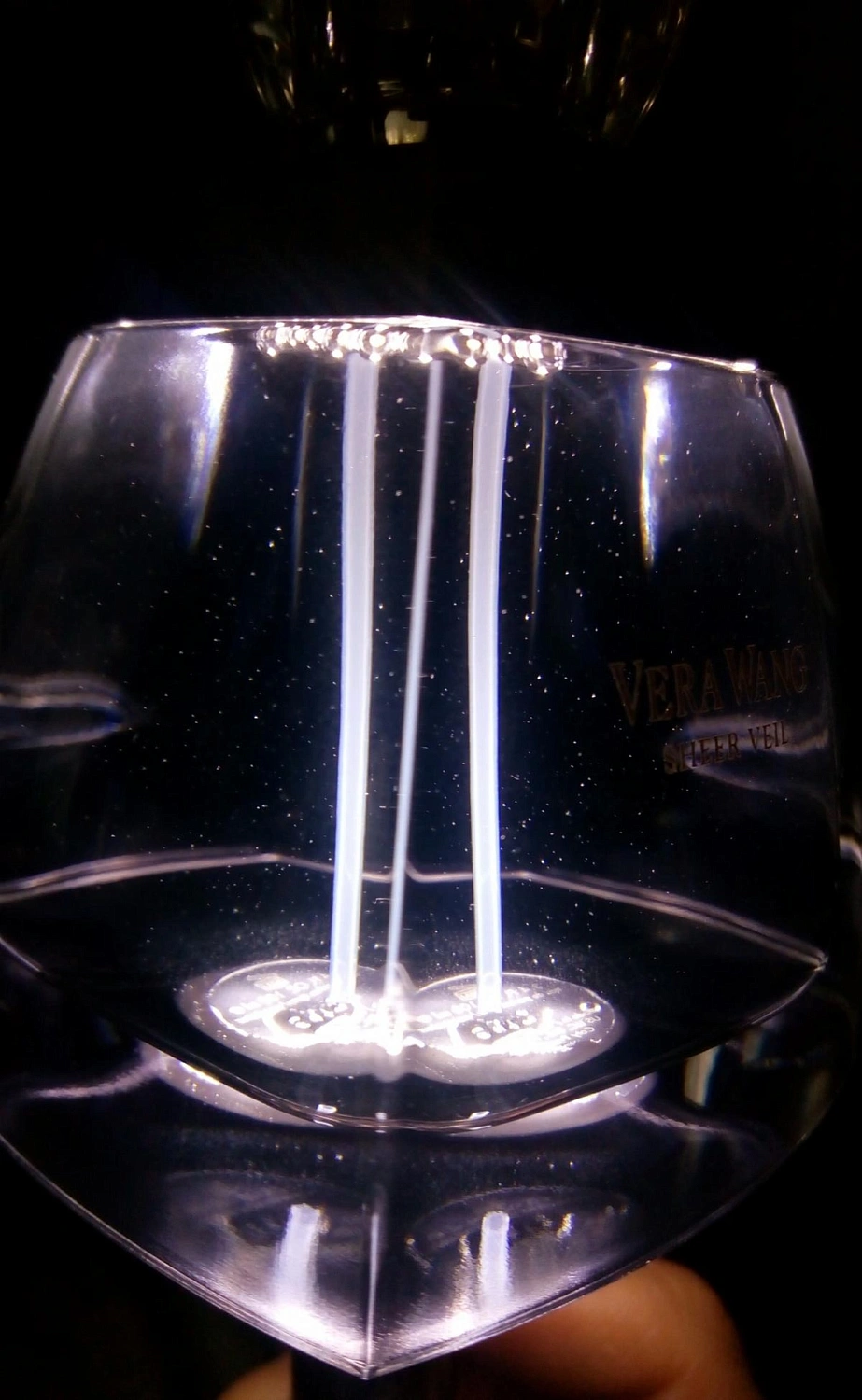 Vera Wang Sheer Veil