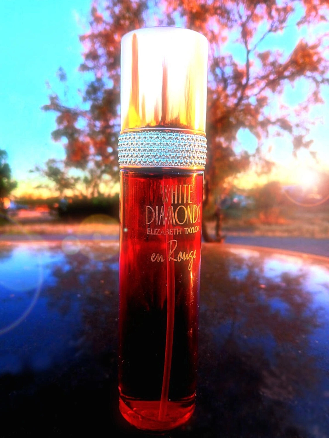 Elizabeth Taylor White Diamonds En Rouge
