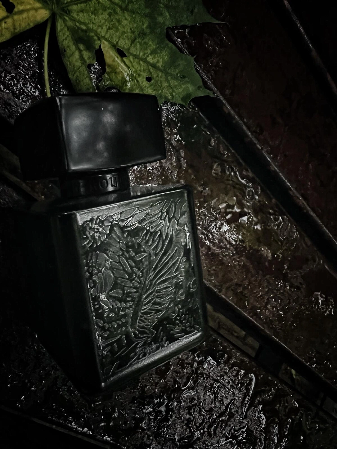 Rouge Bunny Rouge Cynefin