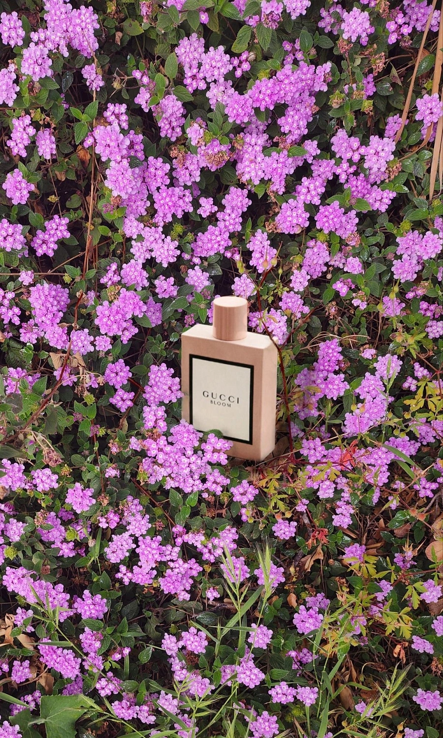 GUCCI Bloom Gocce di Fiori GUCCI Bloom Gocce di Fiori