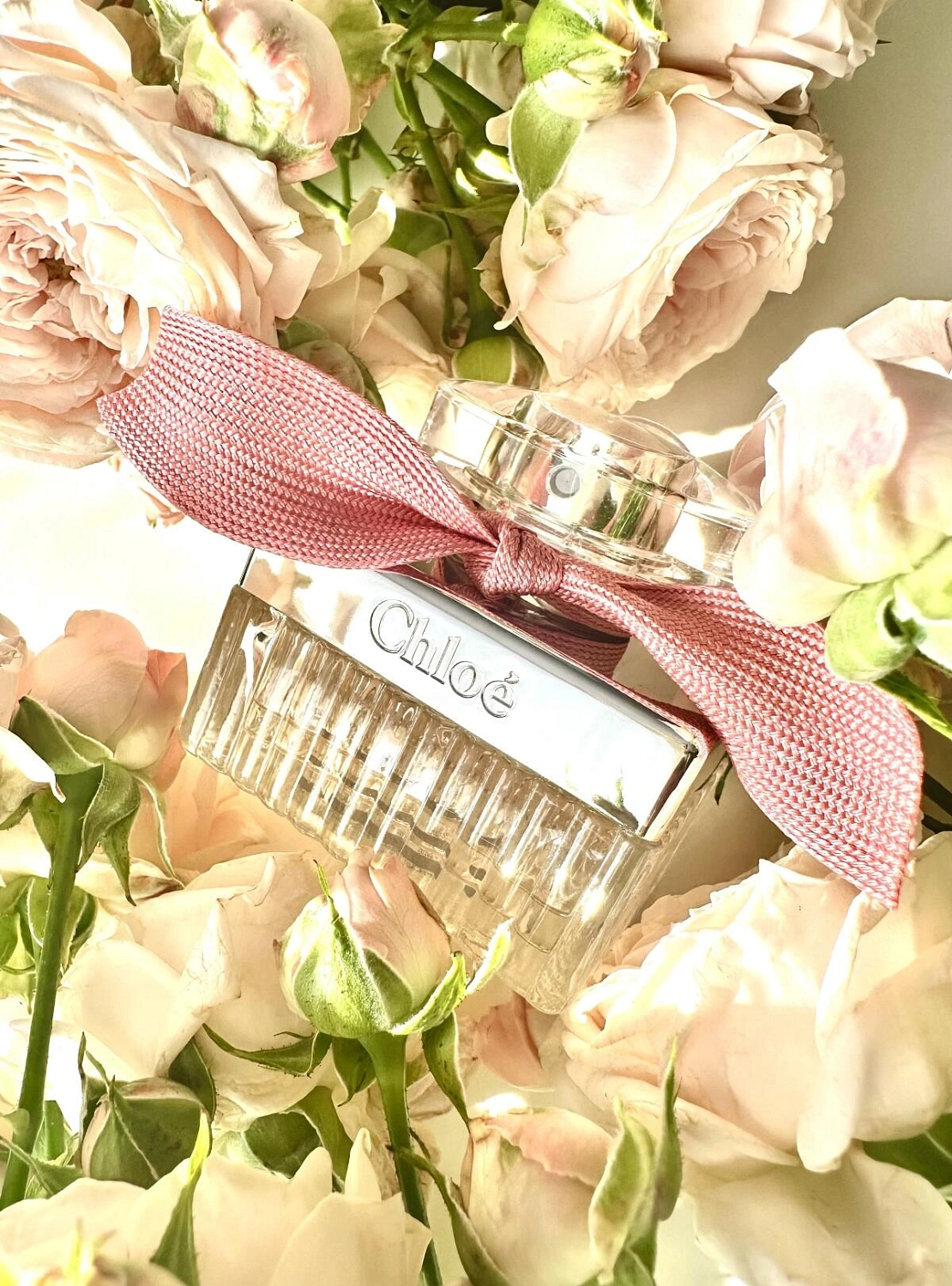 Roses De Chloe