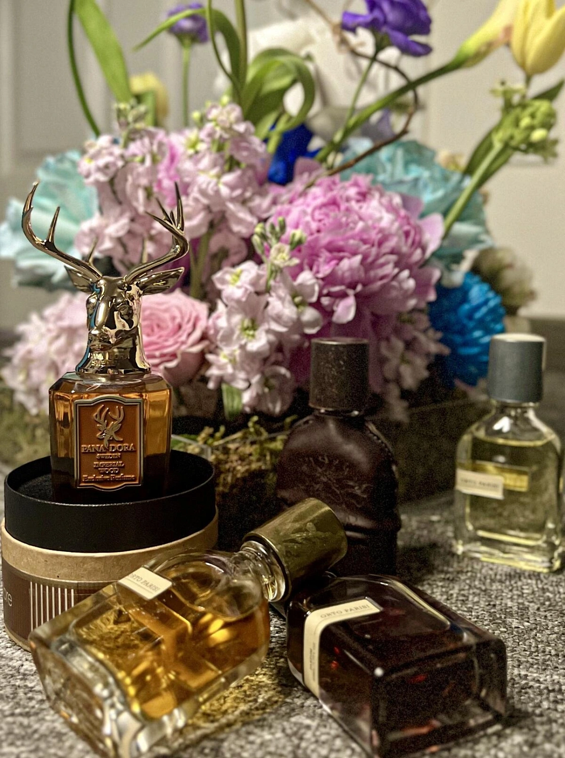 ORTO PARISI Seminalis