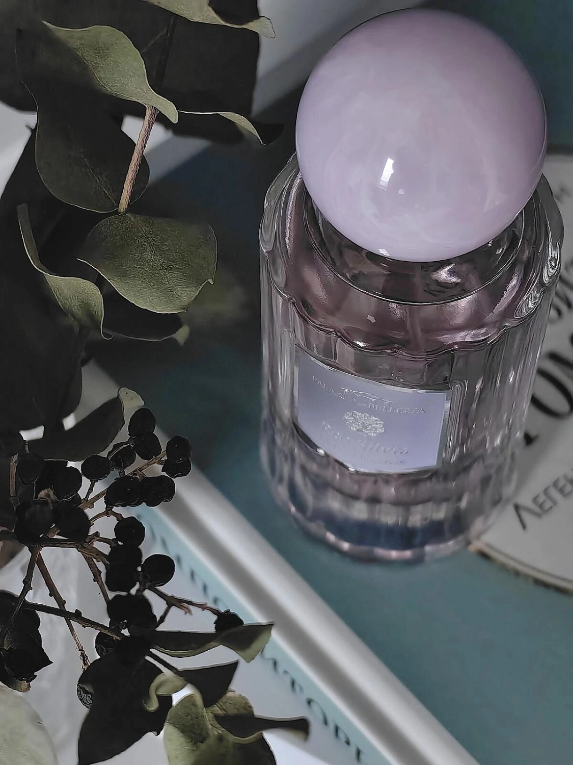 Palazzo della Bellezza Rea Silvia