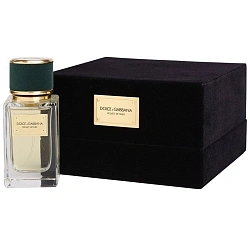 Dolce & Gabbana Velvet Vetiver