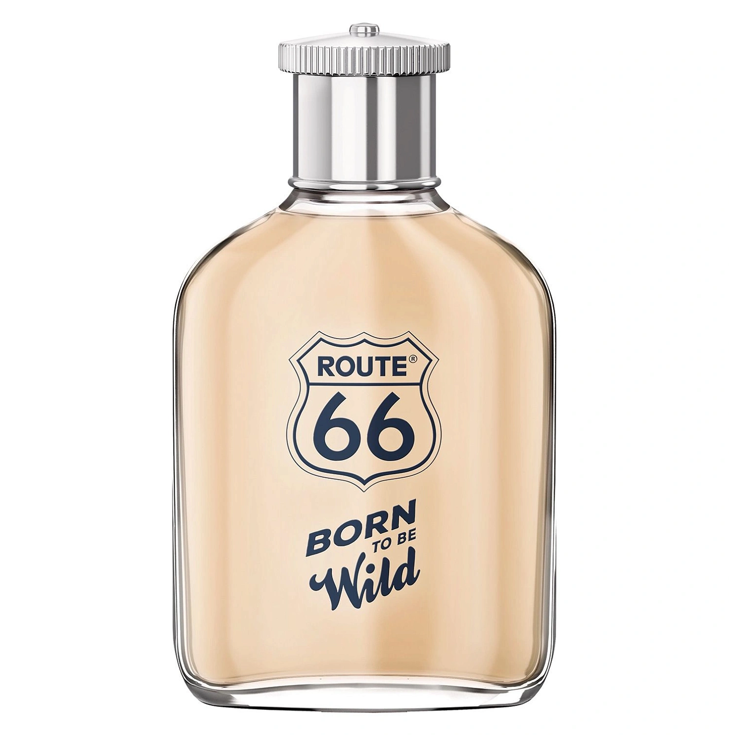 Route 66 Born To Be Wild