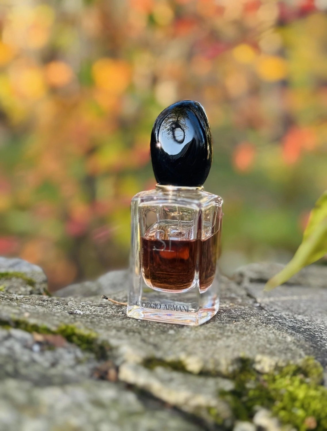 Armani Si