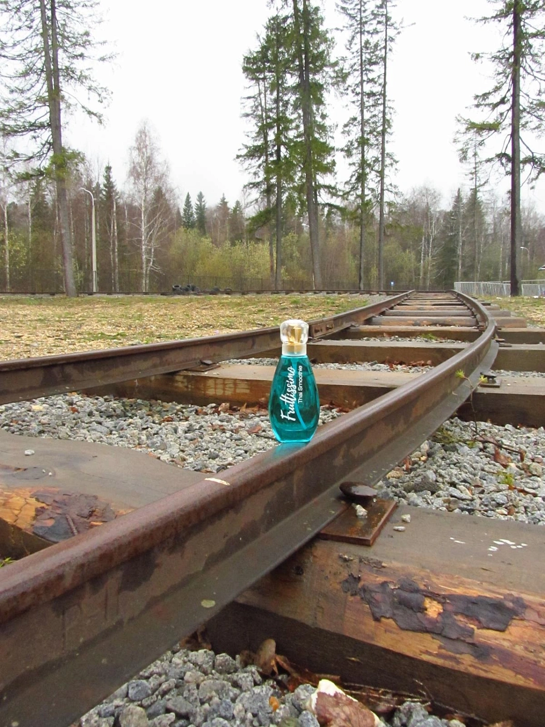 Brocard Фрутиссимо Таи Cмузи