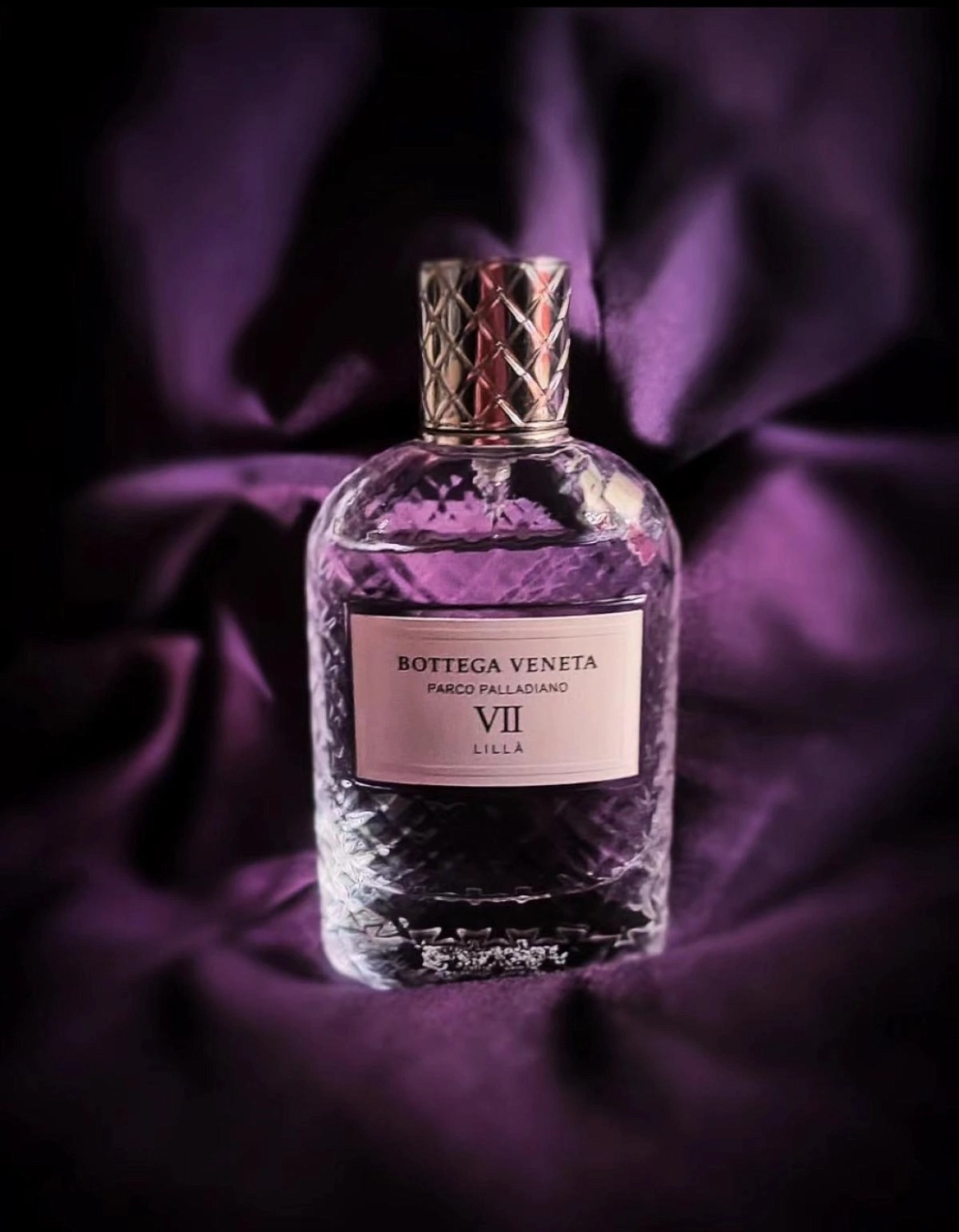 Bottega Veneta Parco Palladiano VII: Lilla Bottega Veneta Parco Palladiano VII: Lilla