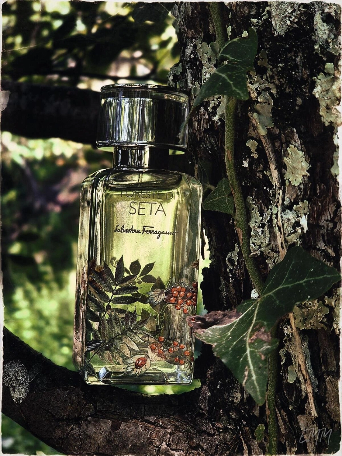 Salvatore Ferragamo Foreste di Seta