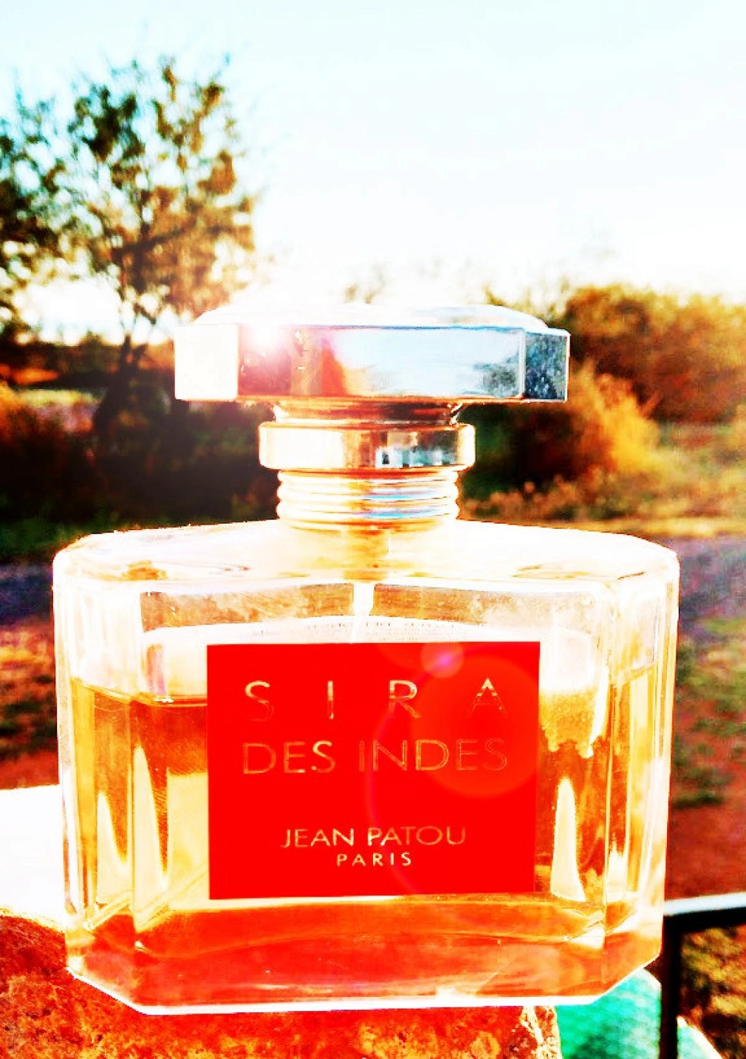 Jean Patou Sira des Indes