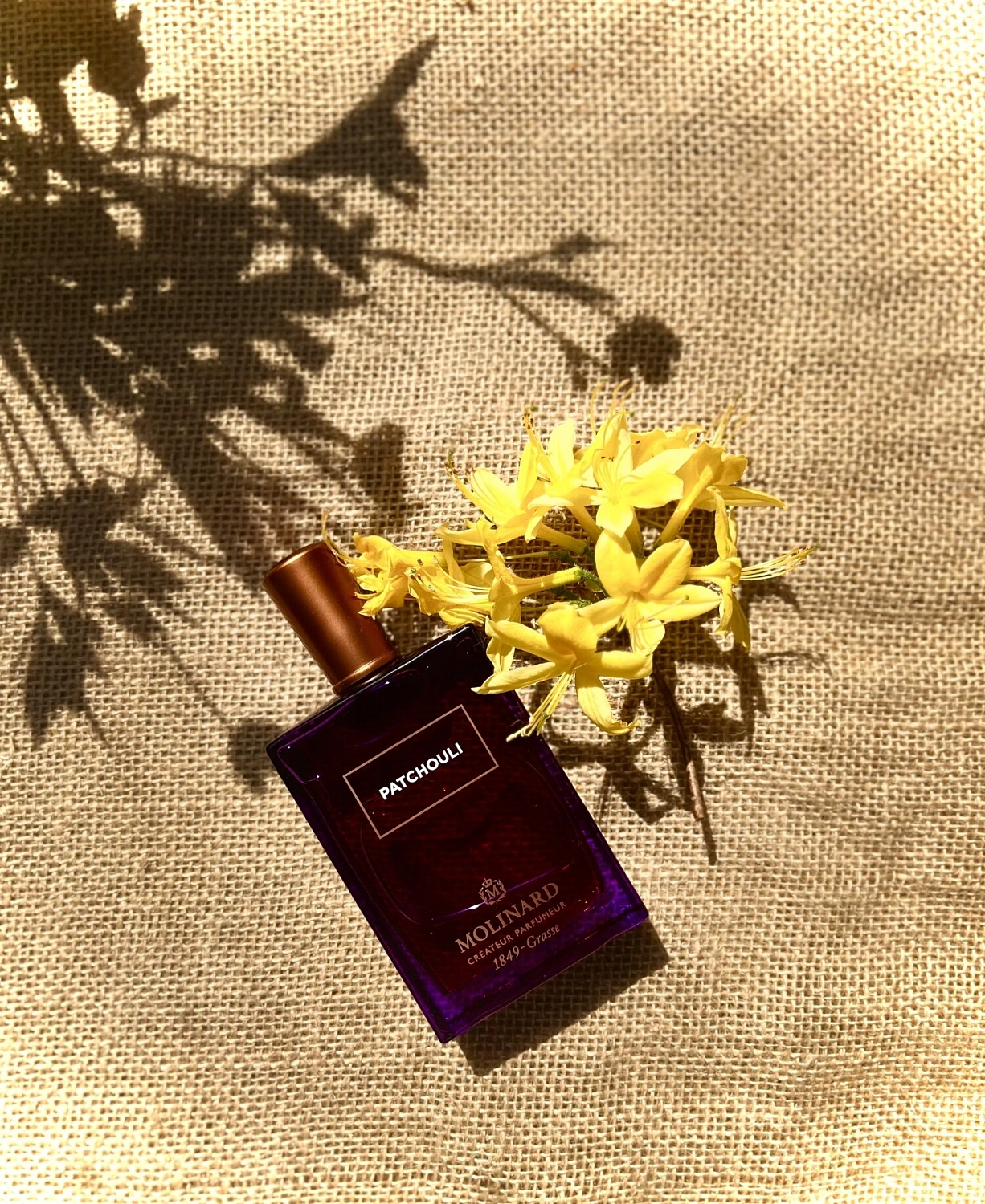 Molinard Patchouli