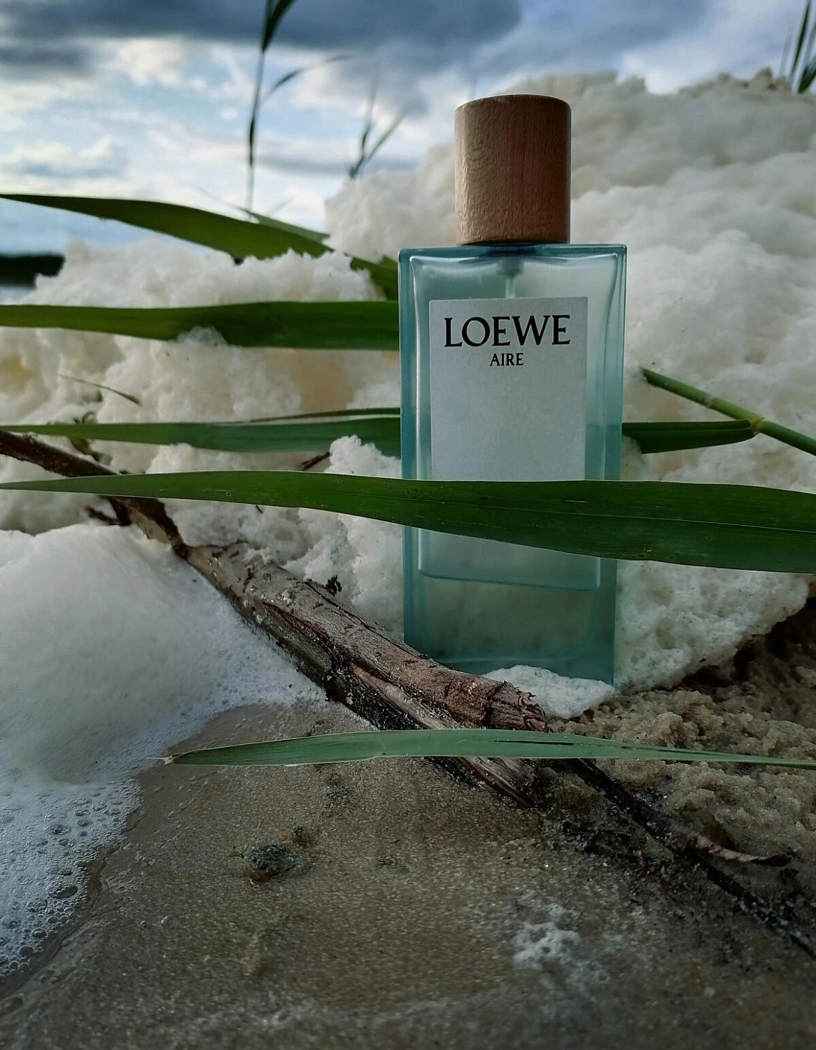 Loewe Aire Anthesis
