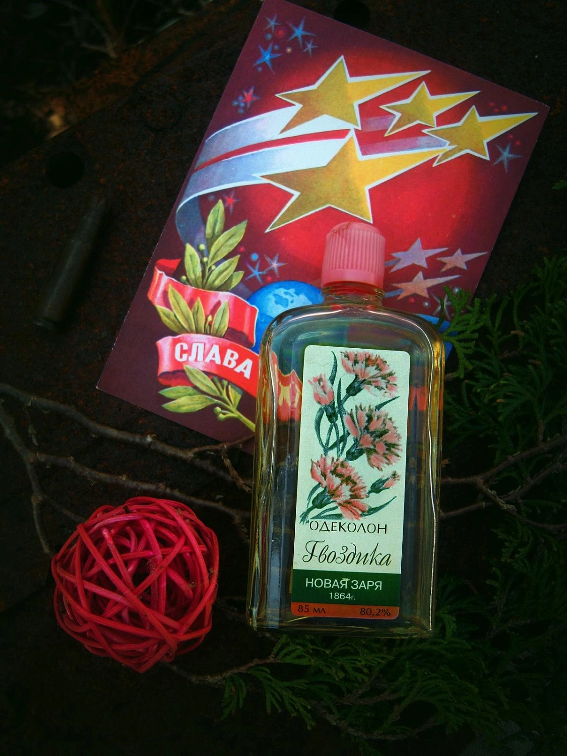 Novaya Zarya (Новая Заря) Гвоздика