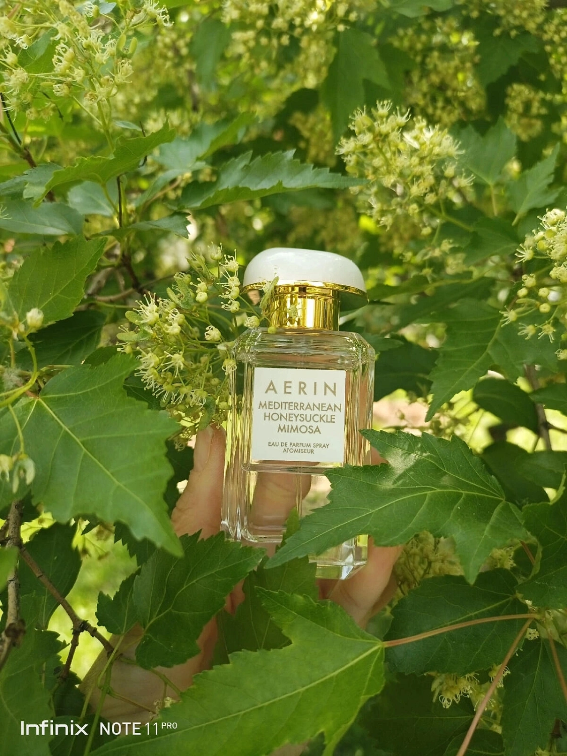 AERIN Mediterranean Honeysuckle Mimosa