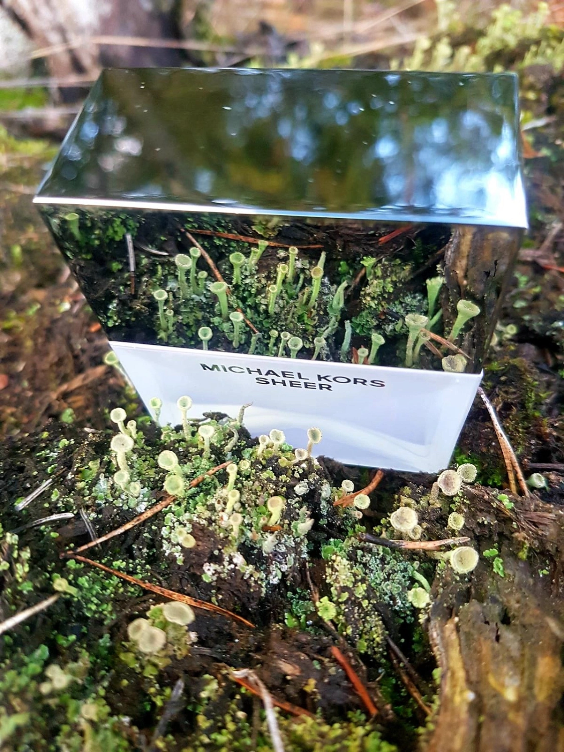 MICHAEL KORS Sheer 2017