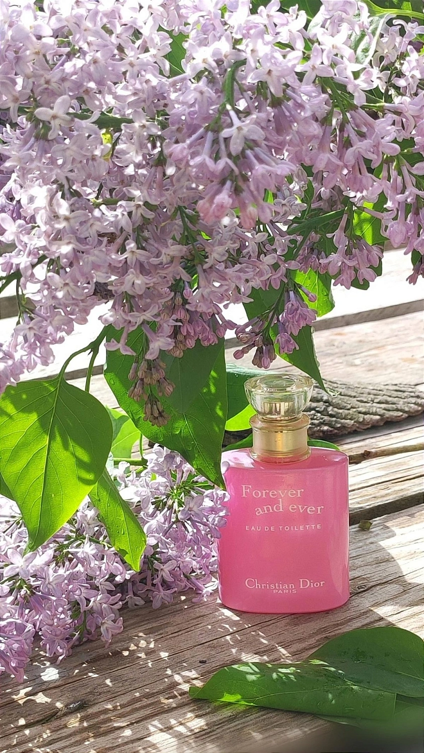 Christian Dior Forever and ever