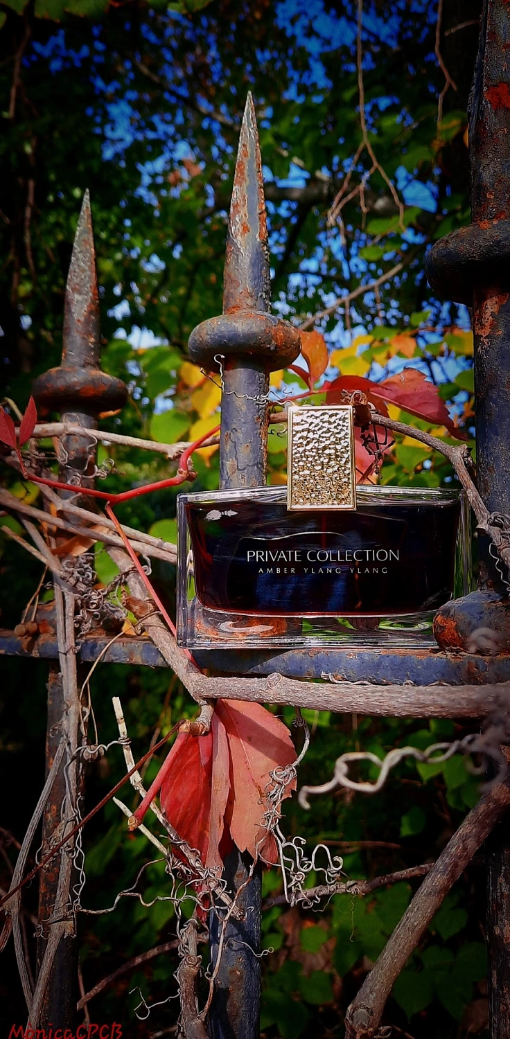 Estee Lauder Private Collection Amber Ylang Ylang Estee Lauder Private Collection Amber Ylang Ylang