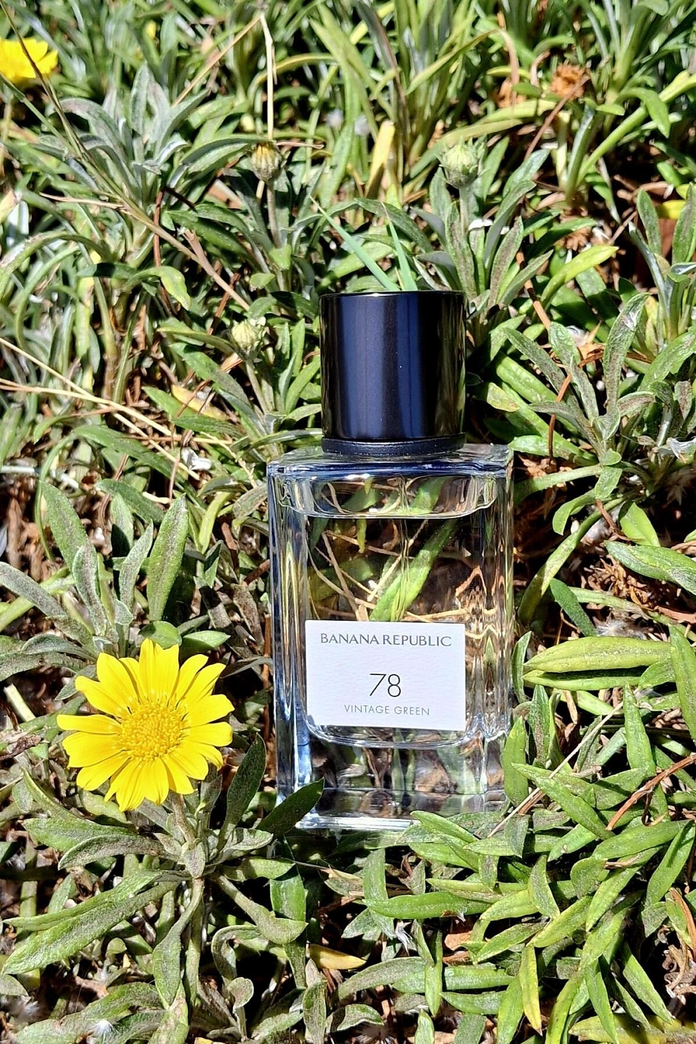 Banana Republic 78 Vintage Green