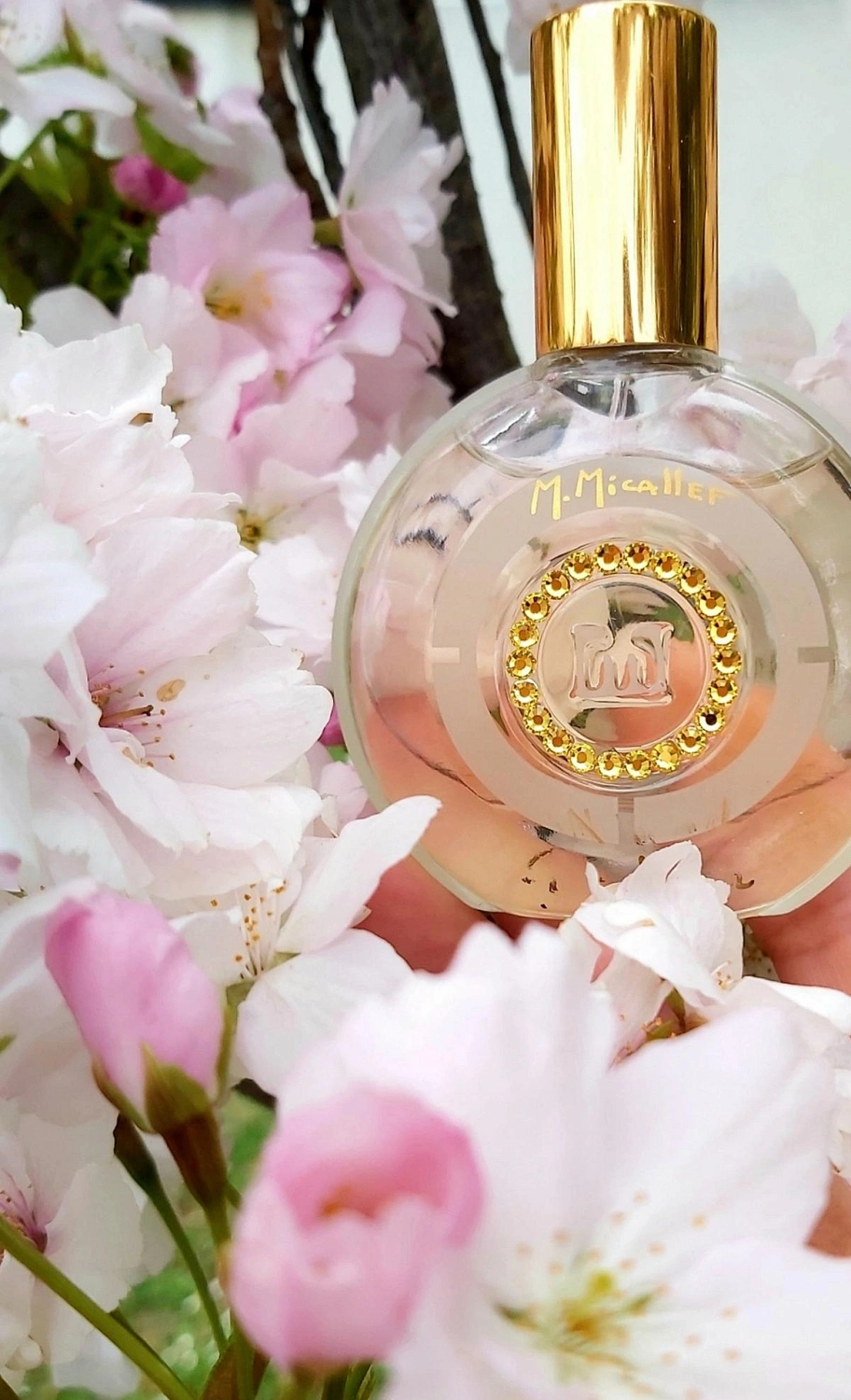 M. Micallef Gardenia