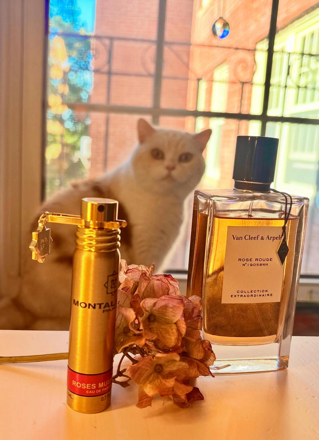 Van Cleef & Arpels Rose Rouge