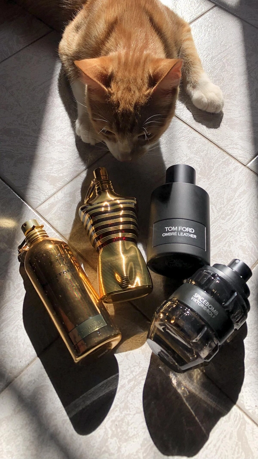 MONTALE Aoud Leather