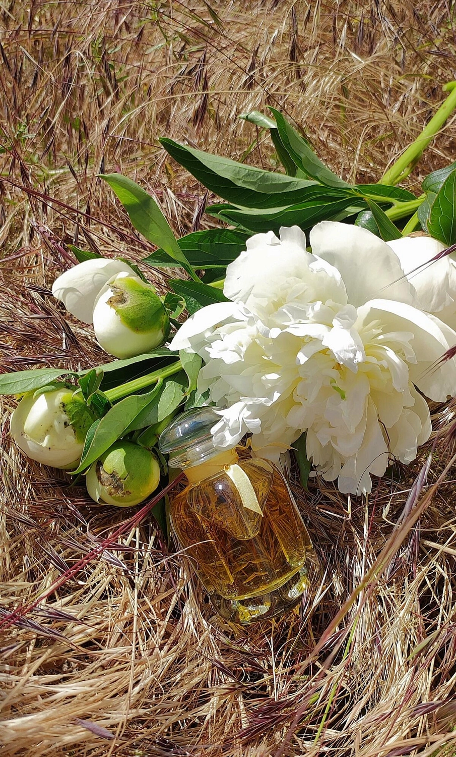 Hermes Caleche Soie de Parfum