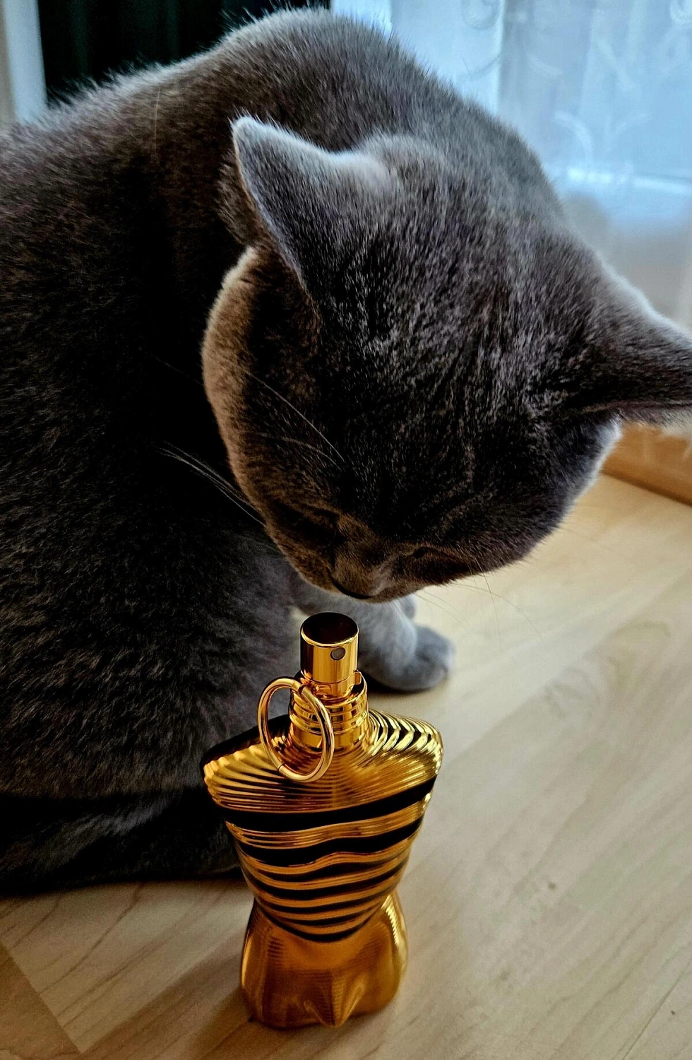 Jean Paul Gaultier Le Male Elixir