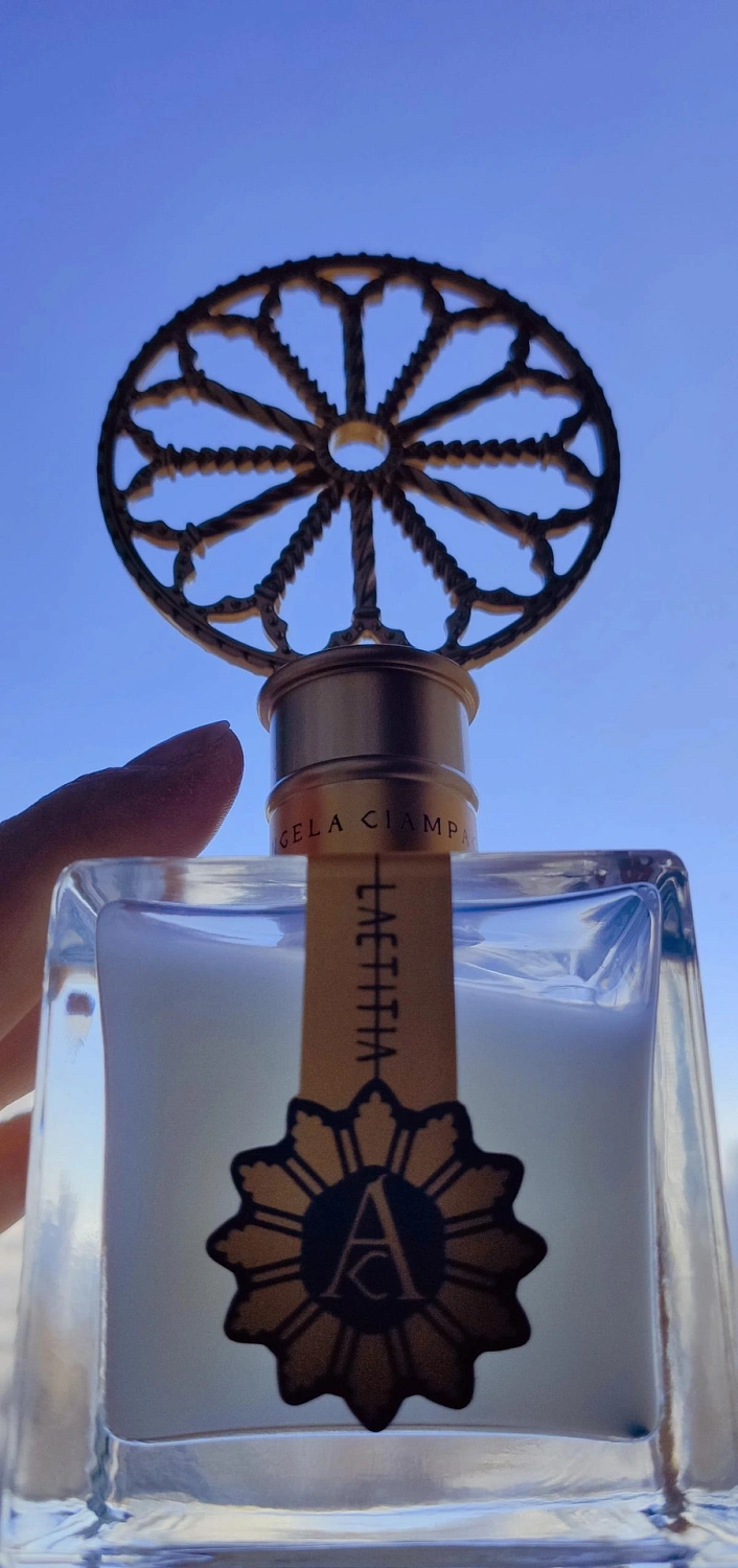 Angela Ciampagna Laetitia