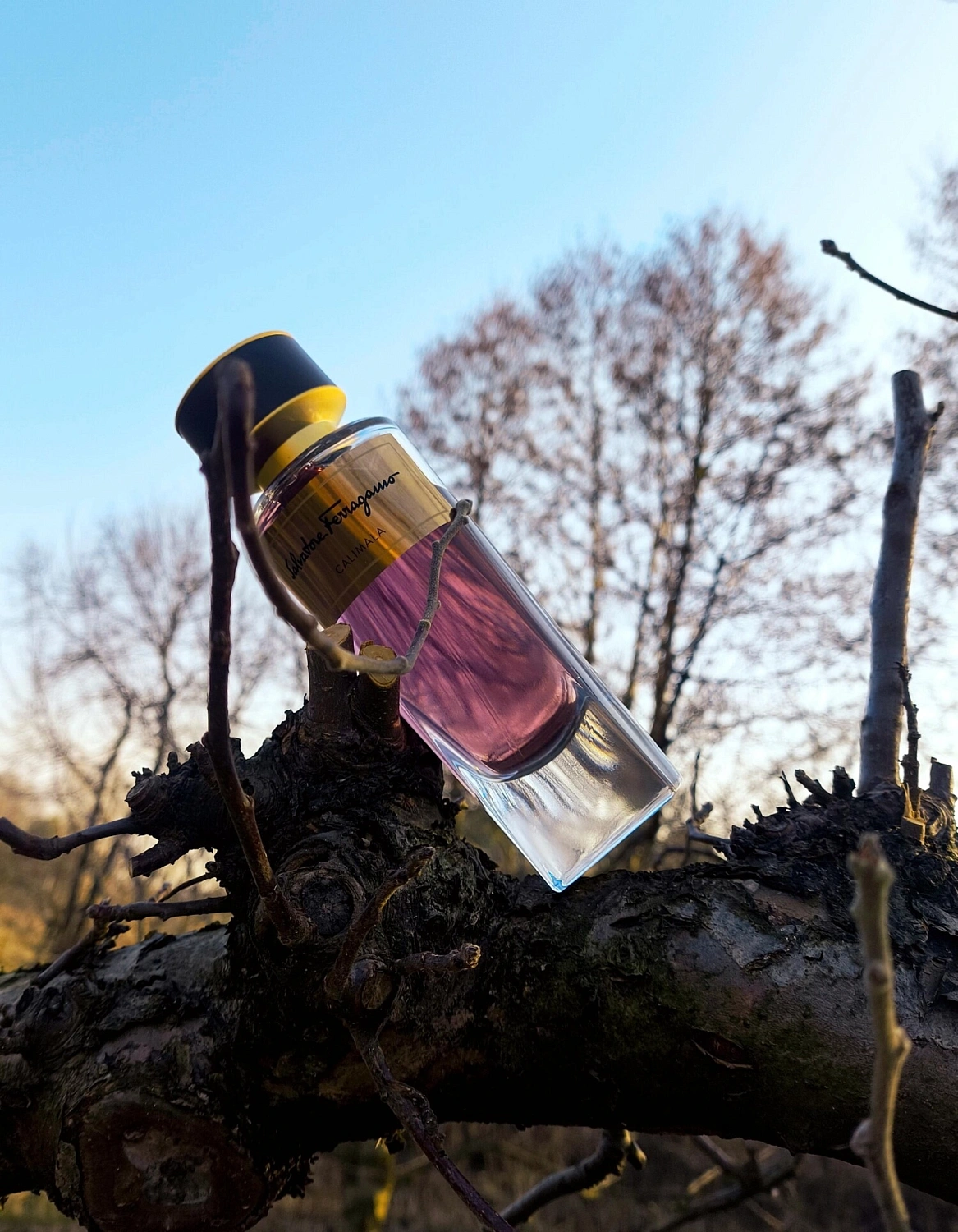 Salvatore Ferragamo Calimala